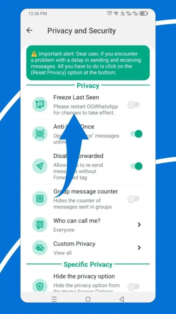Freeze Last Seen Feature